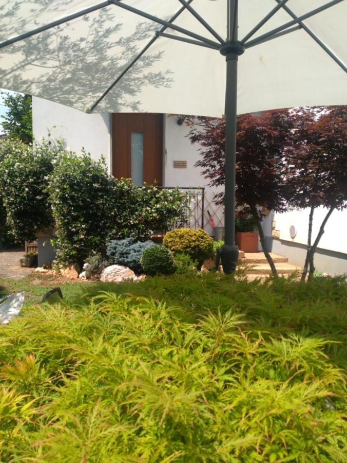 Bed and Breakfast Le Betulle Zanica Zewnętrze zdjęcie